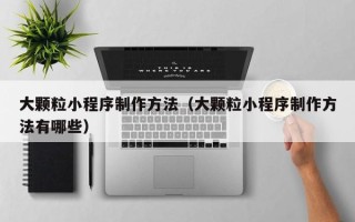 敦煌大颗粒小程序制作方法（大颗粒小程序制作方法有哪些）